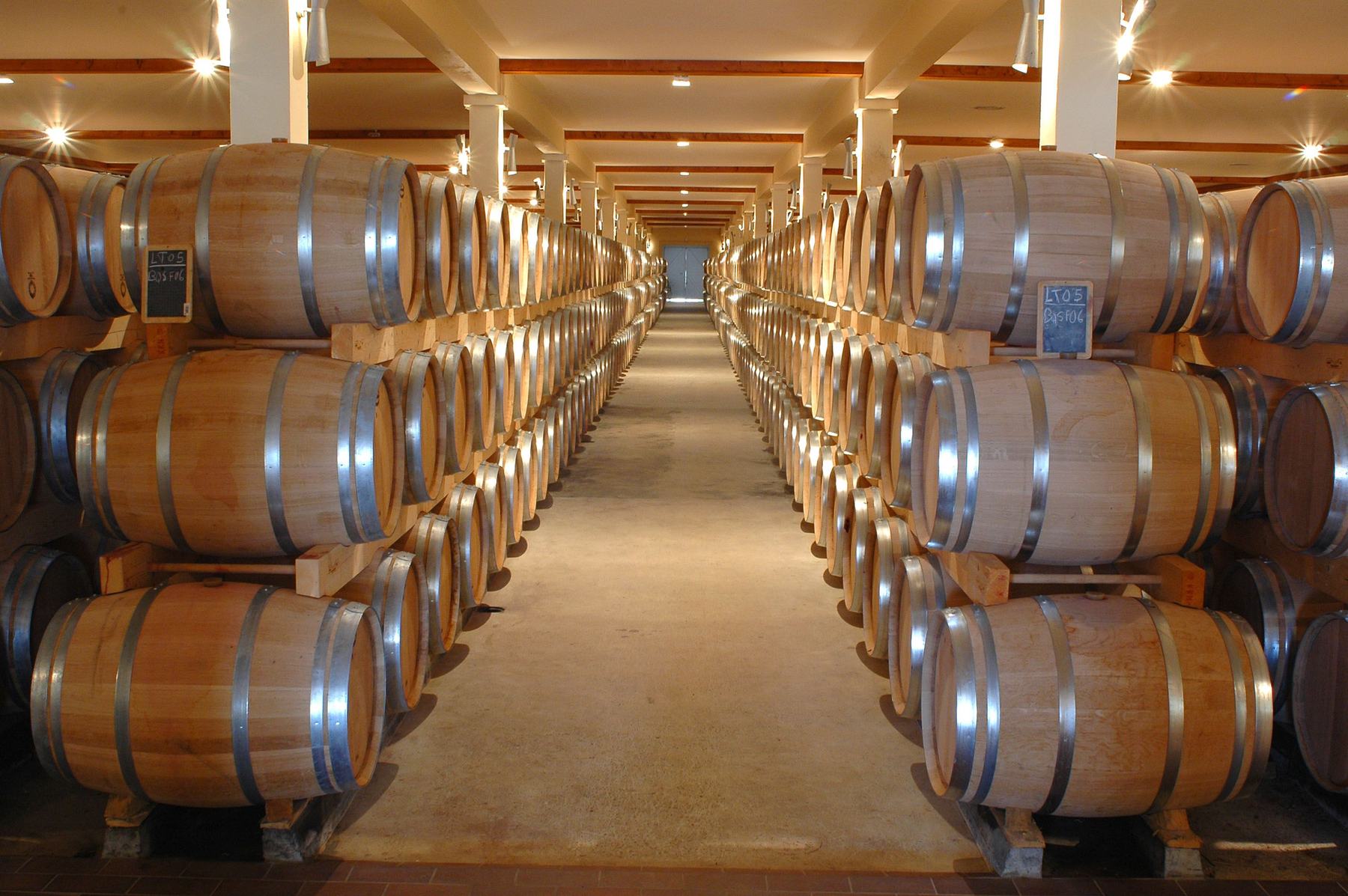 Rows of oak barrels aging wine in a cellar